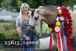 23R13_14000 thumbnail